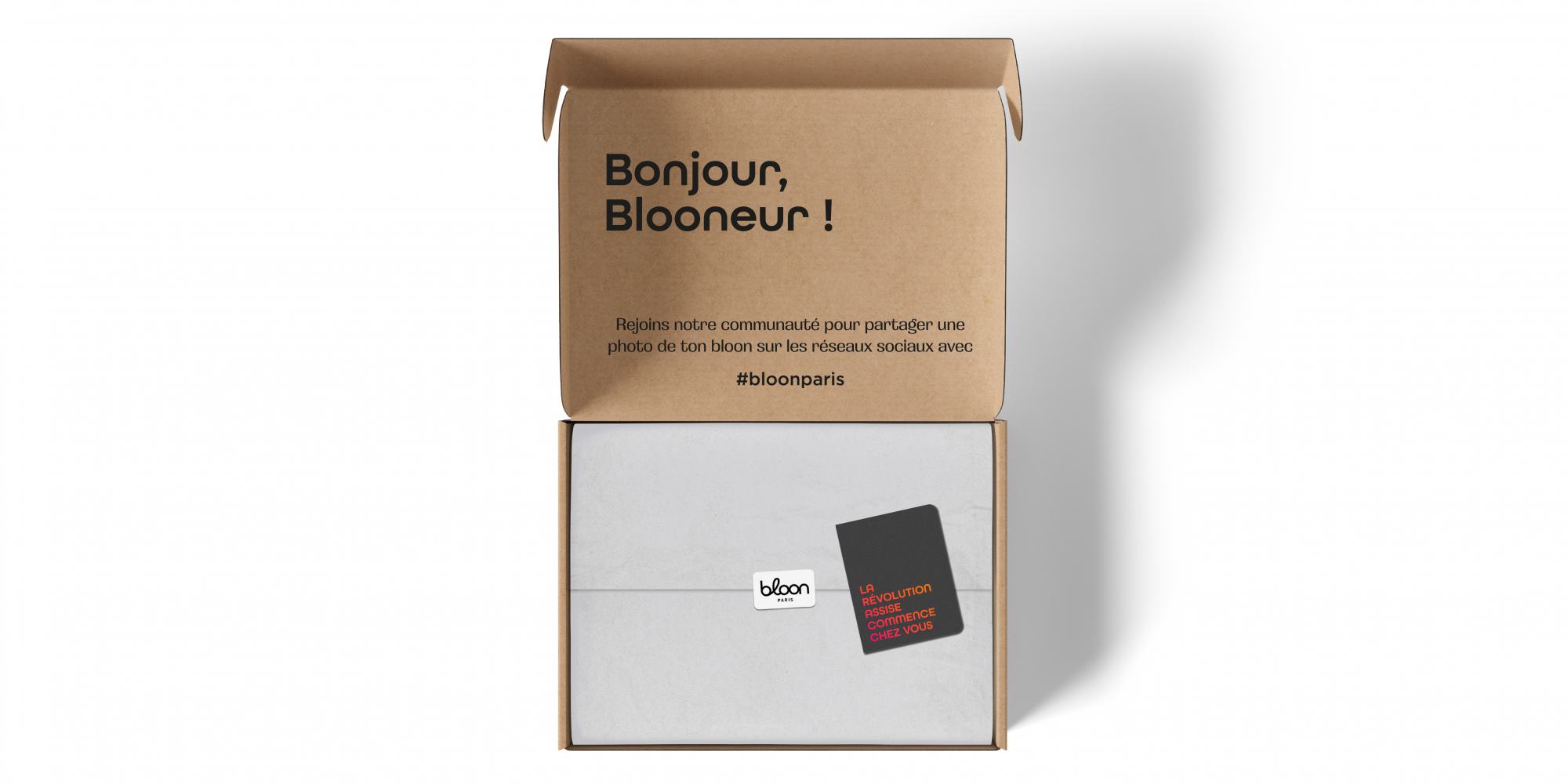 BLOON_BOX_OPEN-11